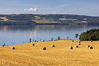 $field.value